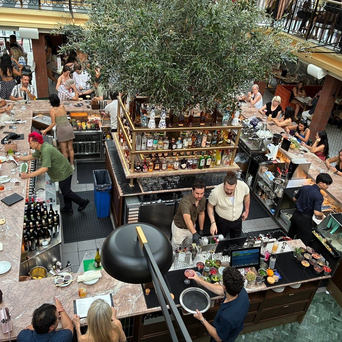 A busy restaurant bar seen from the floor above, an olive tree growing over the counter